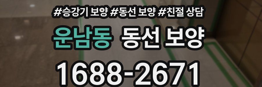 운남동 동선 보양