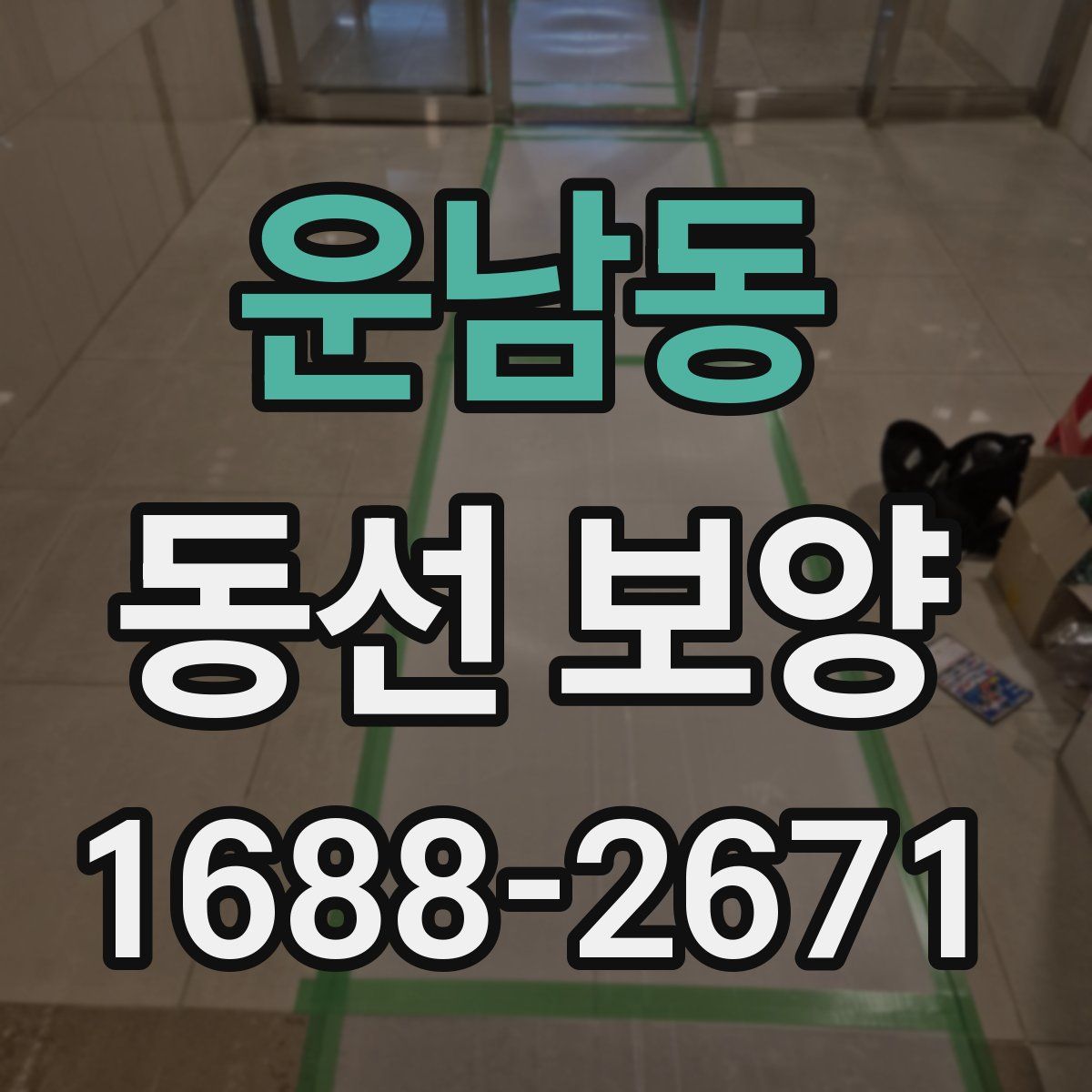 운남동 동선 보양