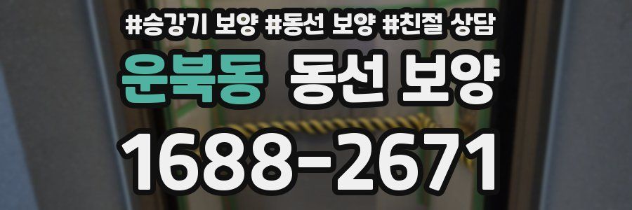 운북동 동선 보양
