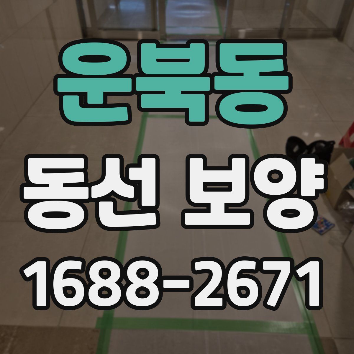 운북동 동선 보양
