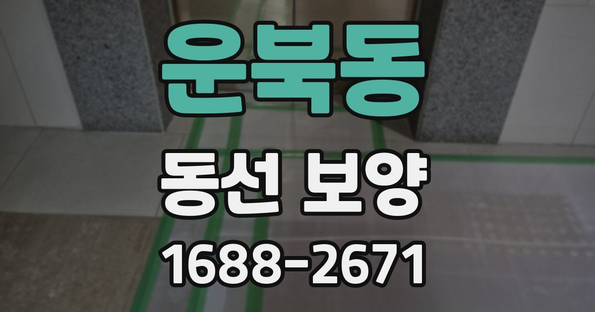 운북동 동선 보양