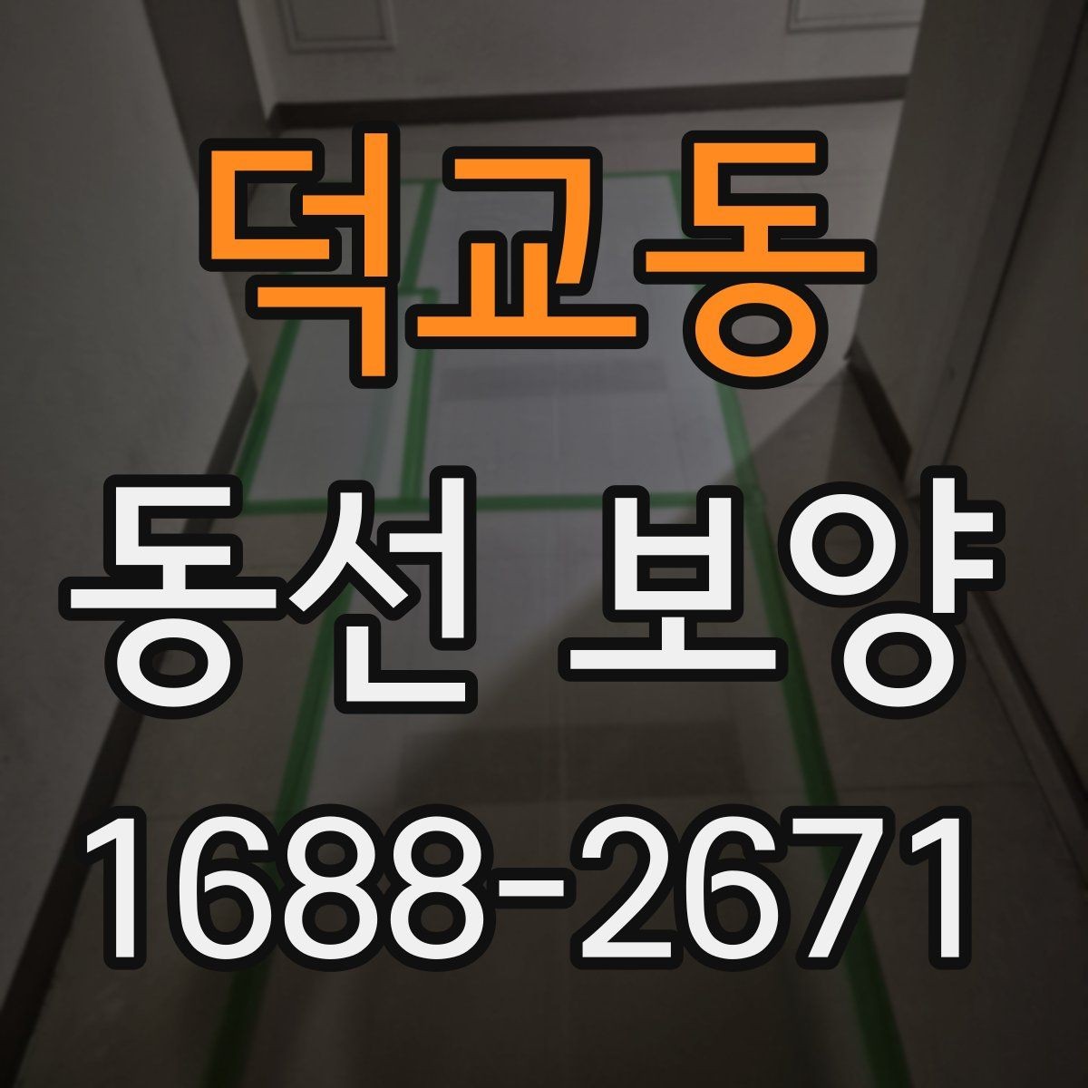 덕교동 동선 보양 일정 잡을 때 참고할 내용
