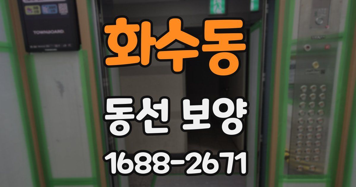 화수동 동선 보양