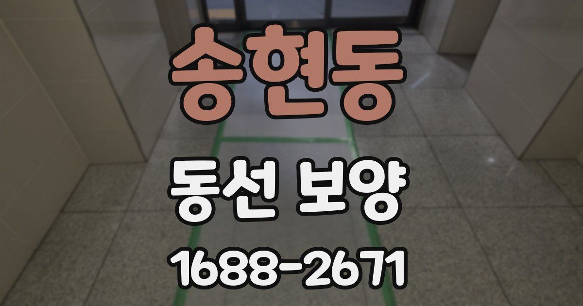송현동 동선 보양