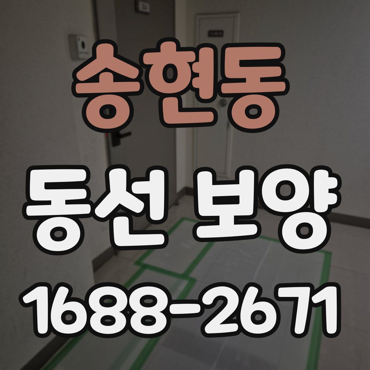 송현동 동선 보양