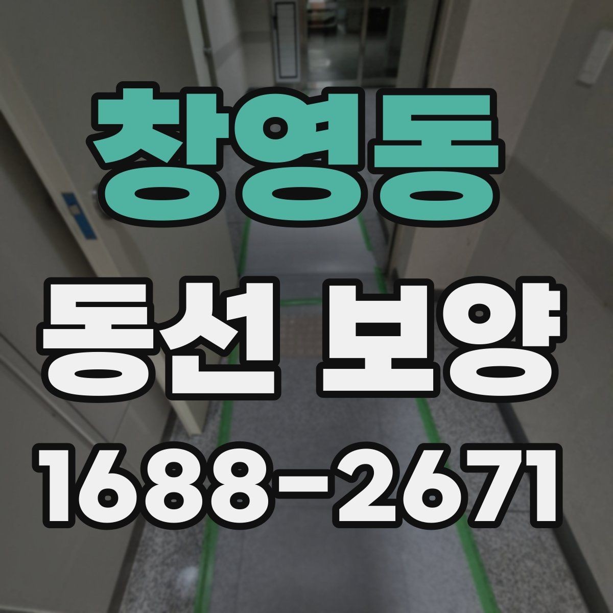 창영동 동선 보양 대상 구간을 정하는 기준