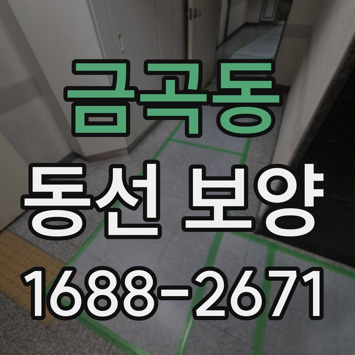 금곡동 동선 보양 기준을 세울 때 보는 현장 요소