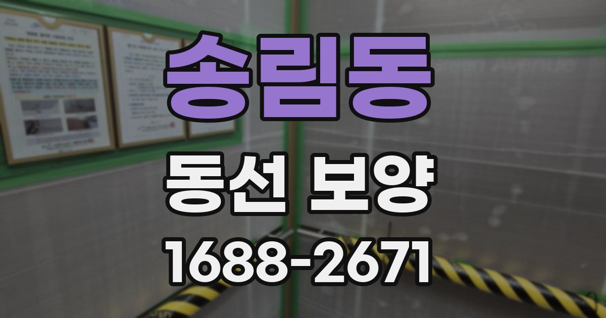 송림동 동선 보양