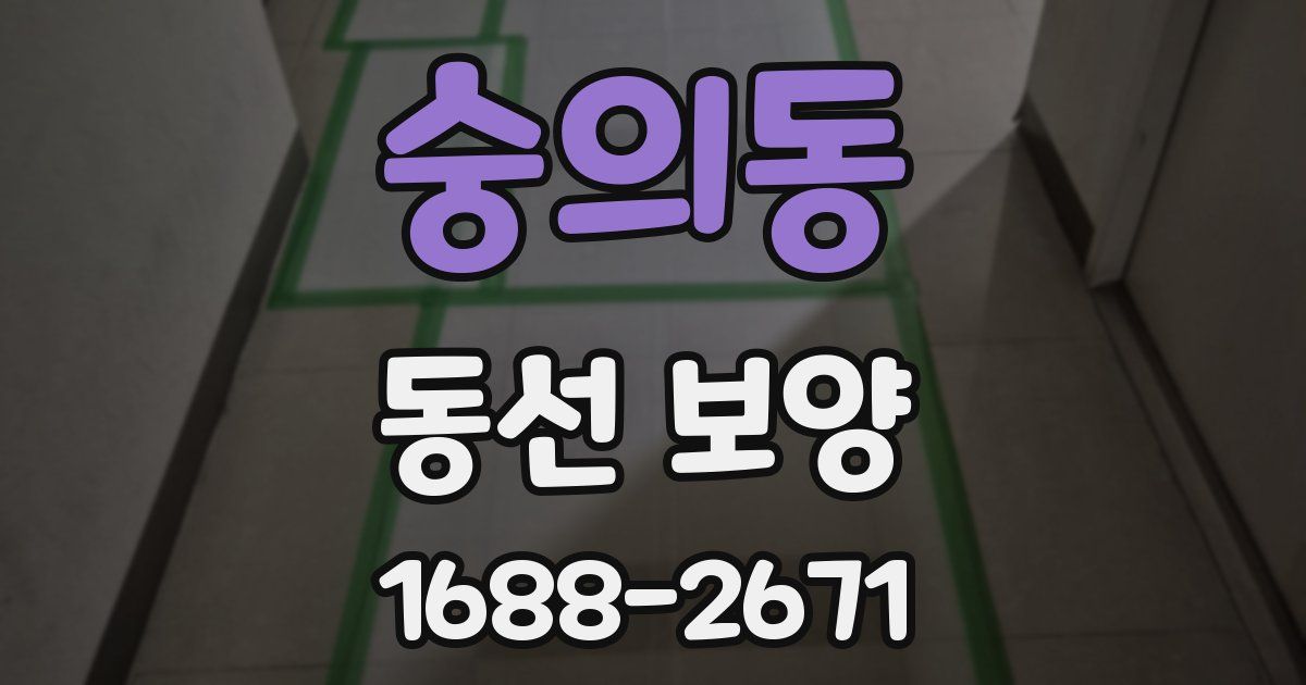 숭의동 동선 보양