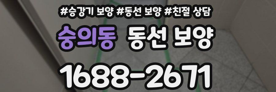 숭의동 동선 보양