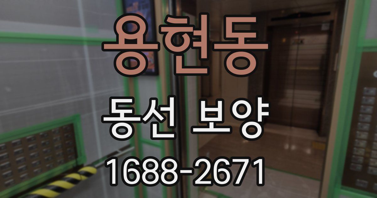 용현동 동선 보양