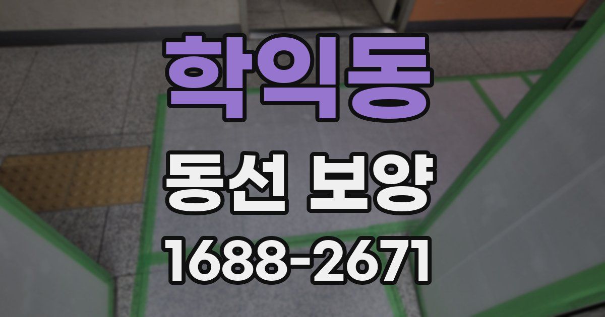 학익동 동선 보양