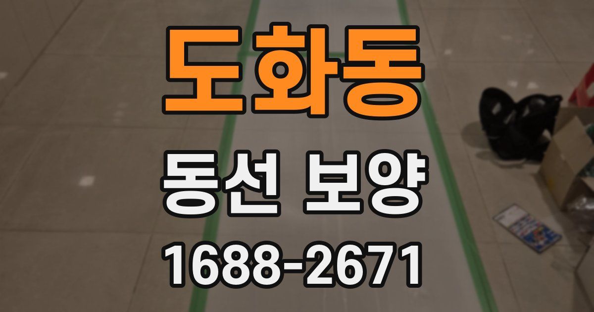 도화동 동선 보양