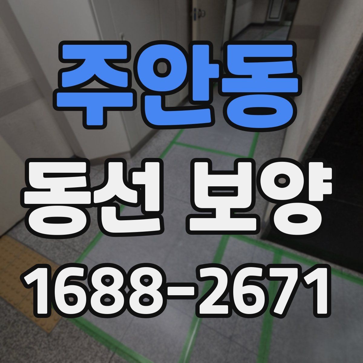 주안동 동선 보양 자재 비용과 품질의 관계