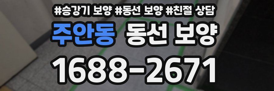 주안동 동선 보양