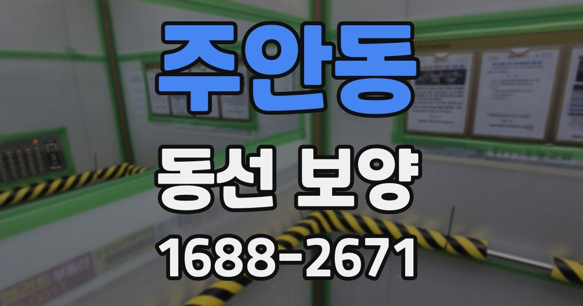 주안동 동선 보양