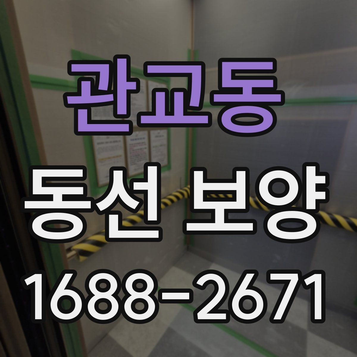관교동 동선 보양 일정이 꼬이지 않도록 조율하는 법