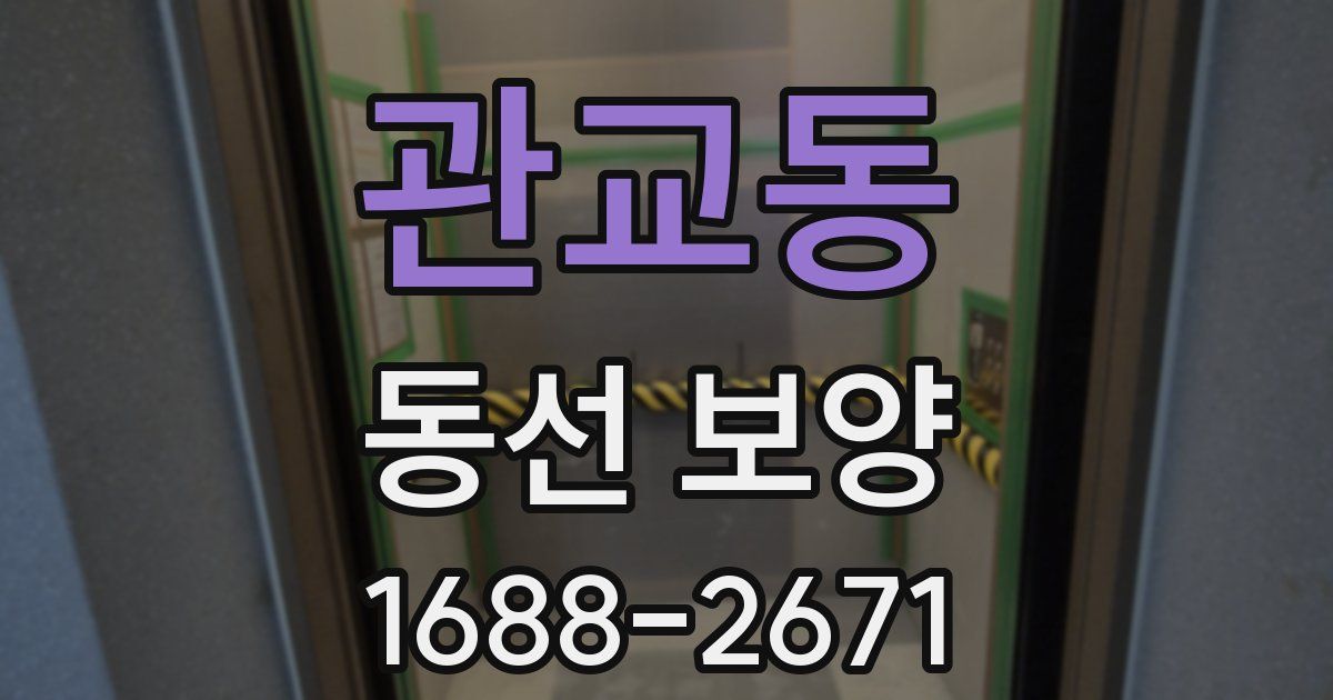 관교동 동선 보양