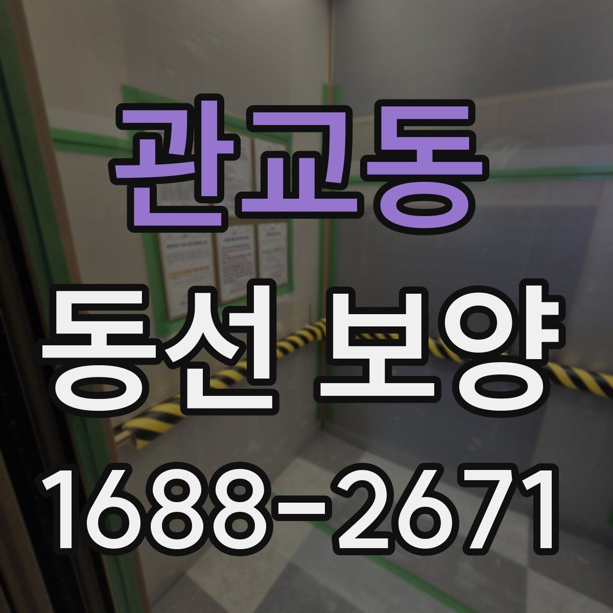 관교동 동선 보양