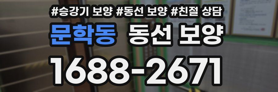 문학동 동선 보양