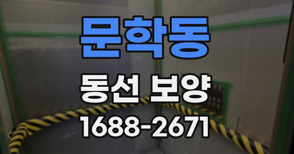 문학동 동선 보양