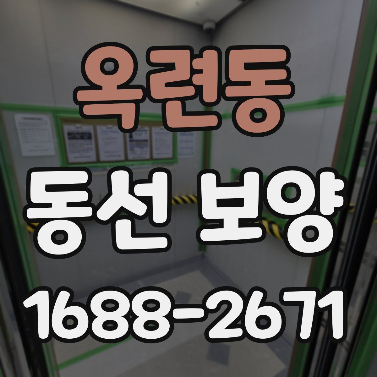 옥련동 동선 보양