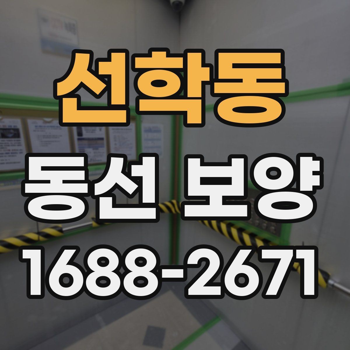 선학동 동선 보양 작업에서 흔히 발생하는 문제