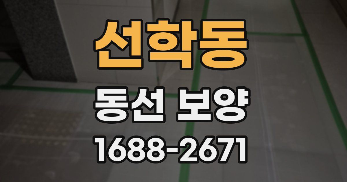 선학동 동선 보양