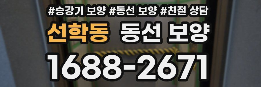 선학동 동선 보양