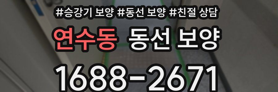 연수동 동선 보양
