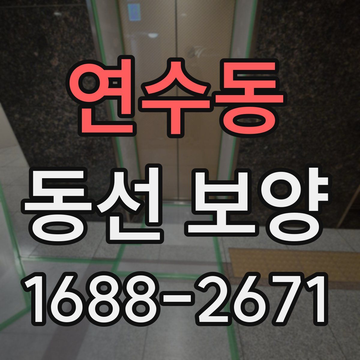 연수동 동선 보양