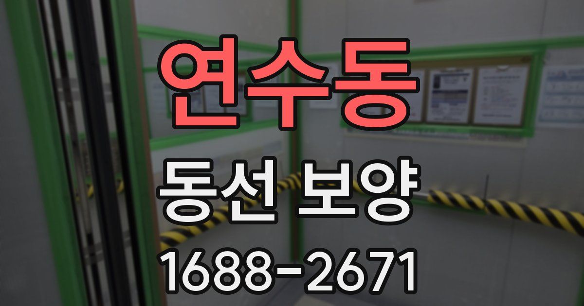 연수동 동선 보양