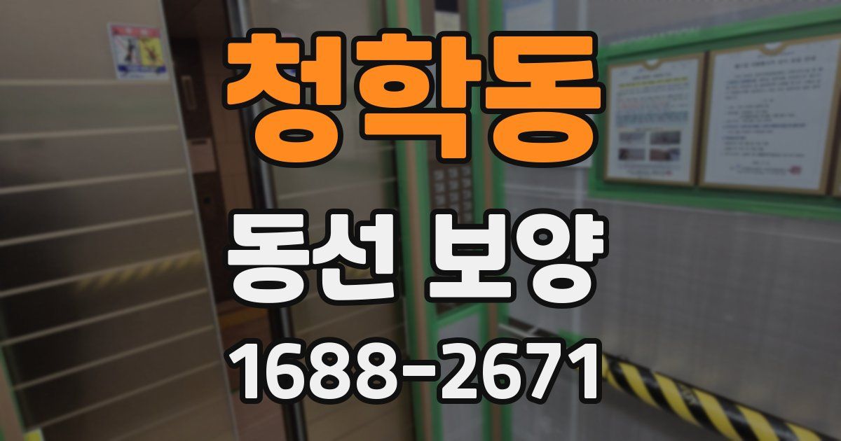 청학동 동선 보양