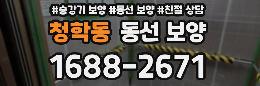 청학동 동선 보양