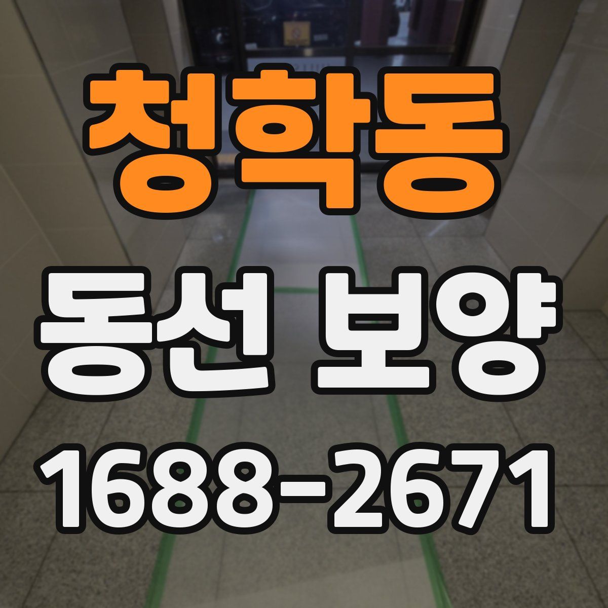 청학동 동선 보양