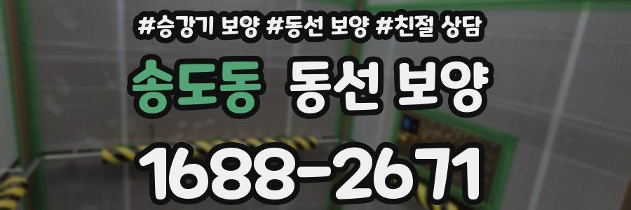 송도동 동선 보양
