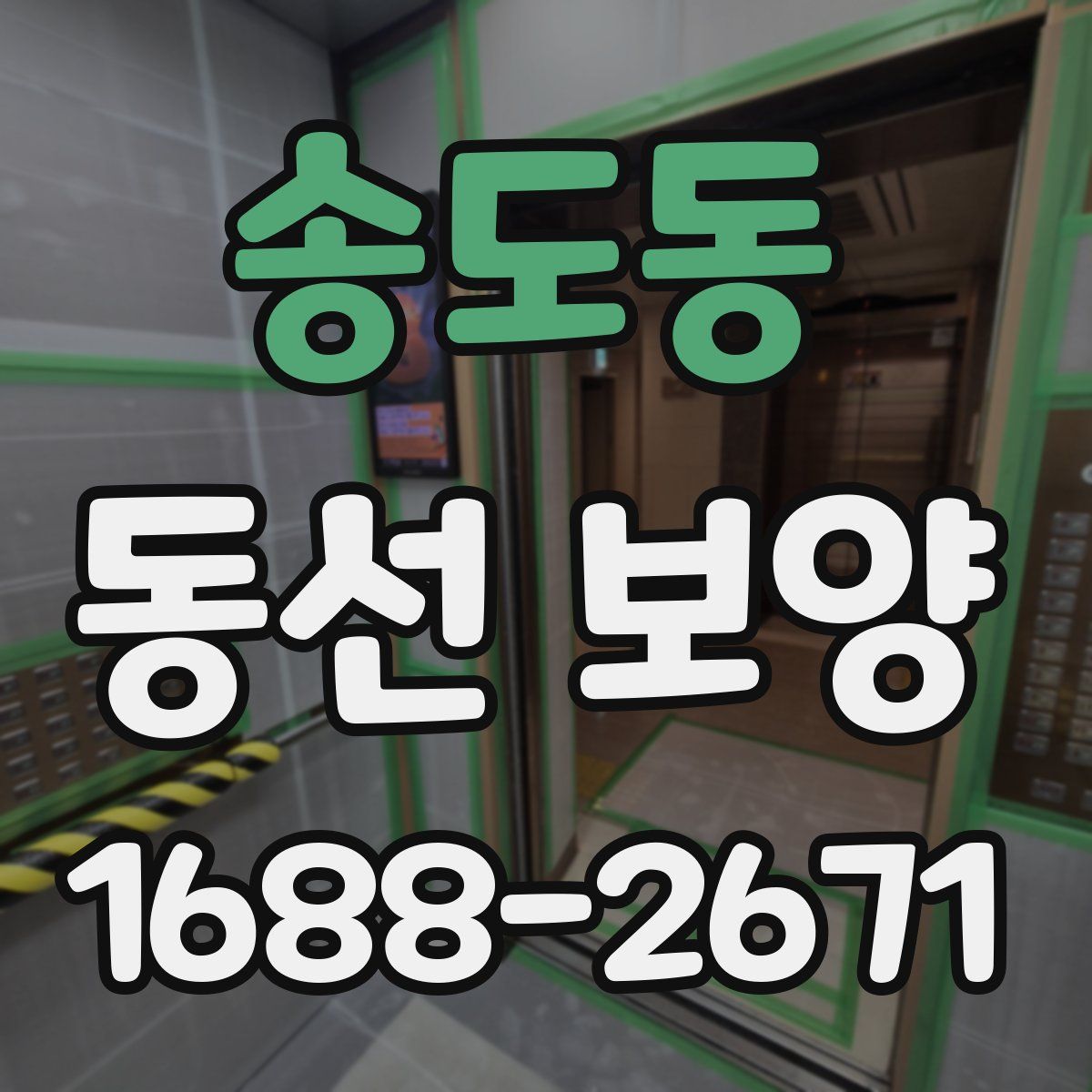 송도동 동선 보양
