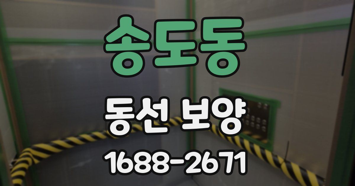 송도동 동선 보양