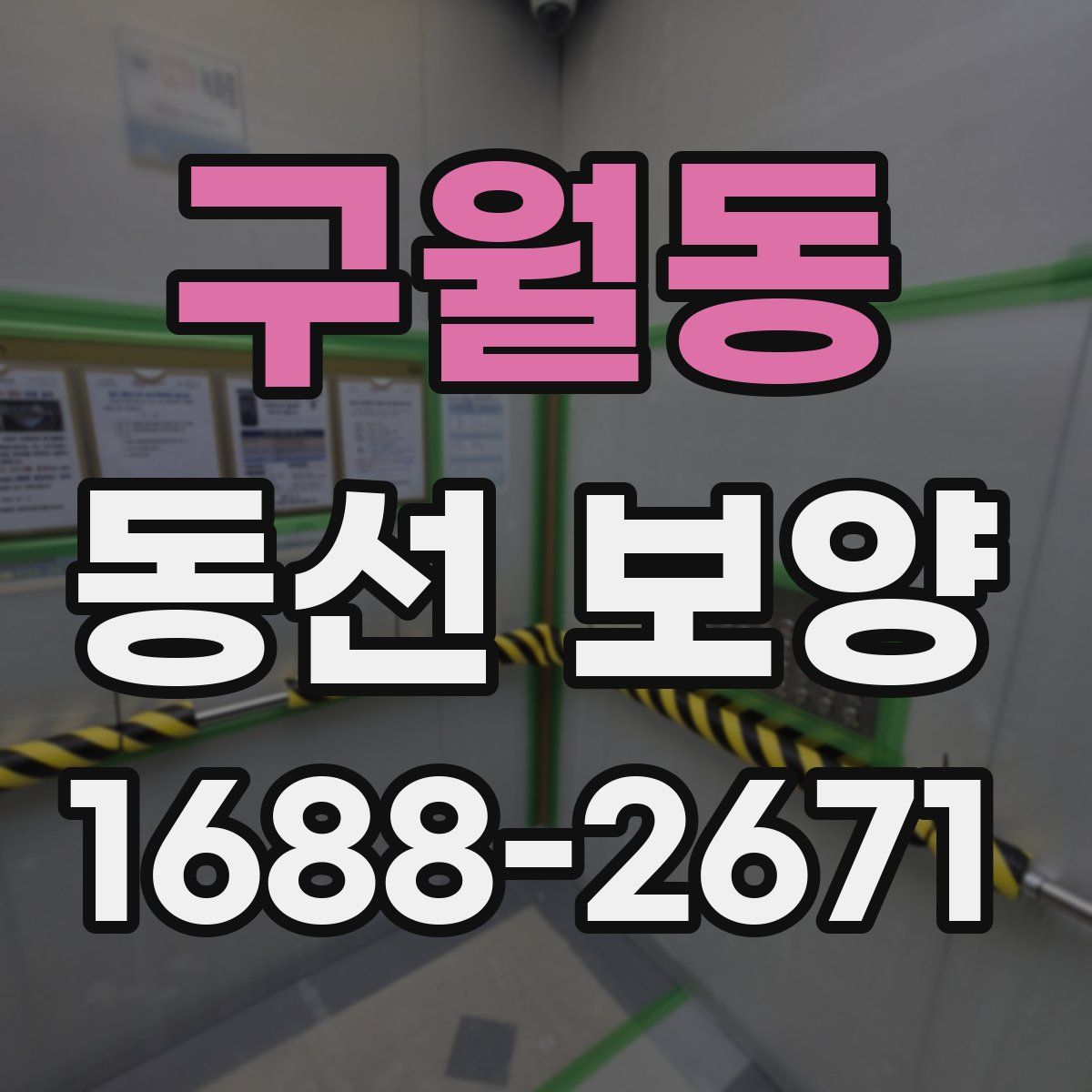 구월동 동선 보양