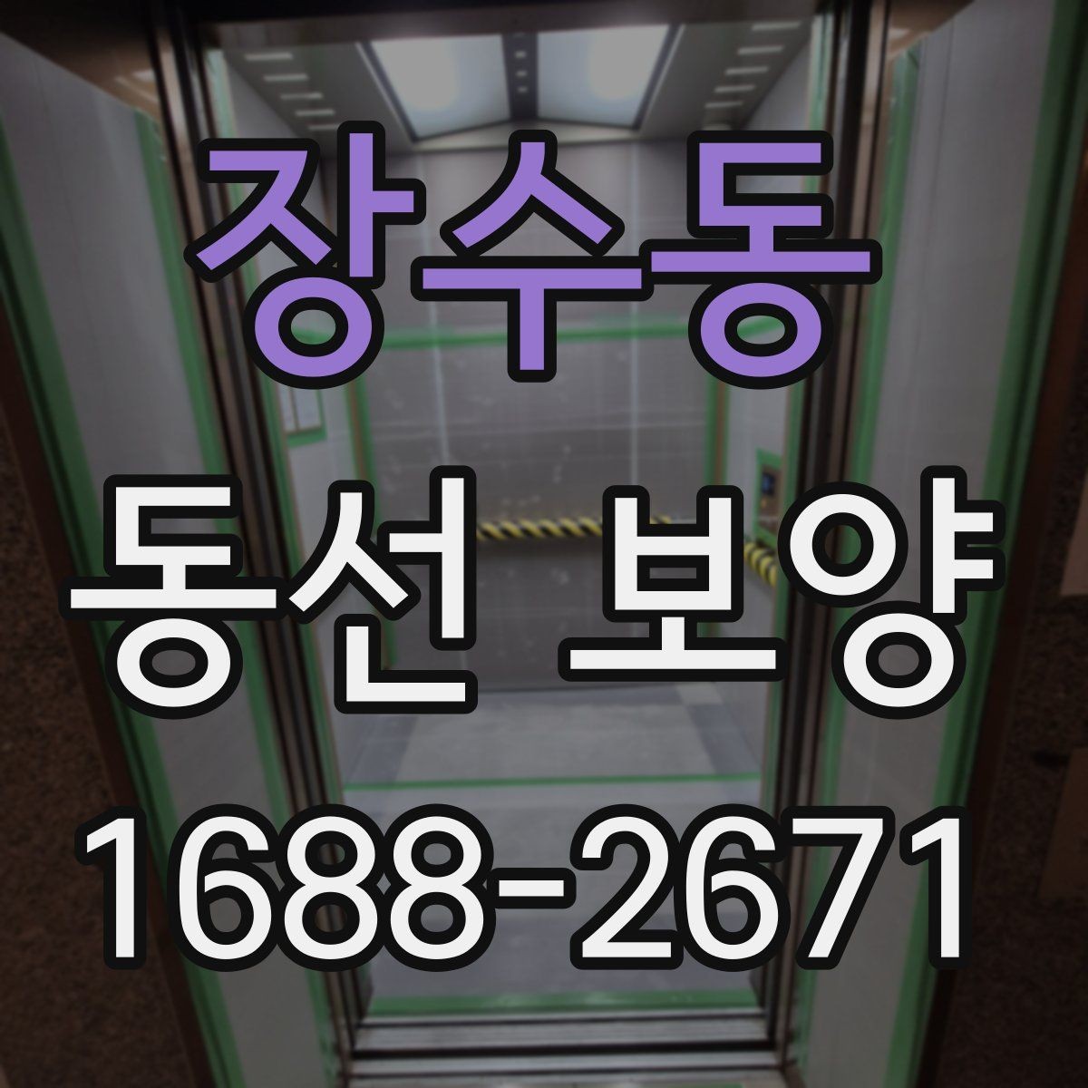 장수동 동선 보양 마감 품질을 좌우하는 요소