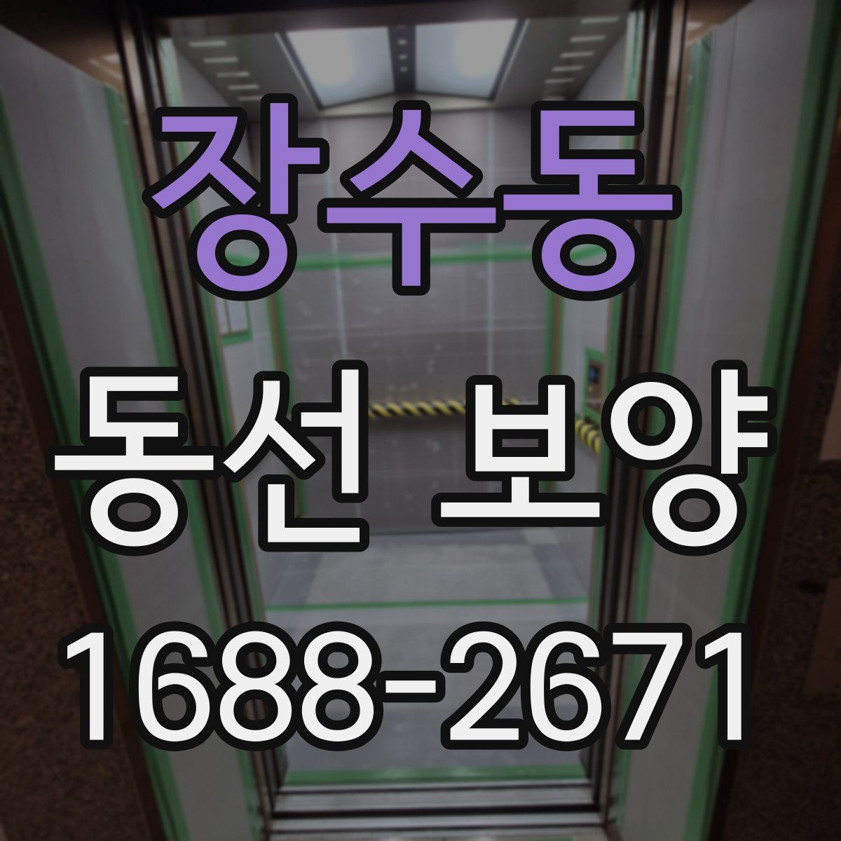 장수동 동선 보양