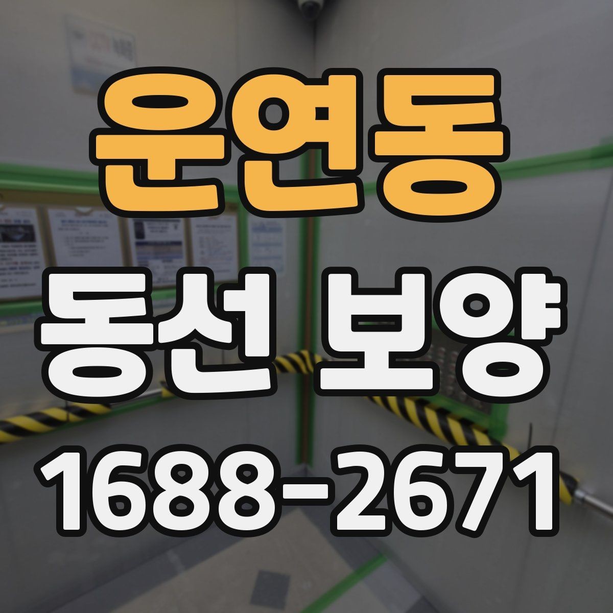 운연동 동선 보양 작업에서 품질 차이를 만드는 요인
