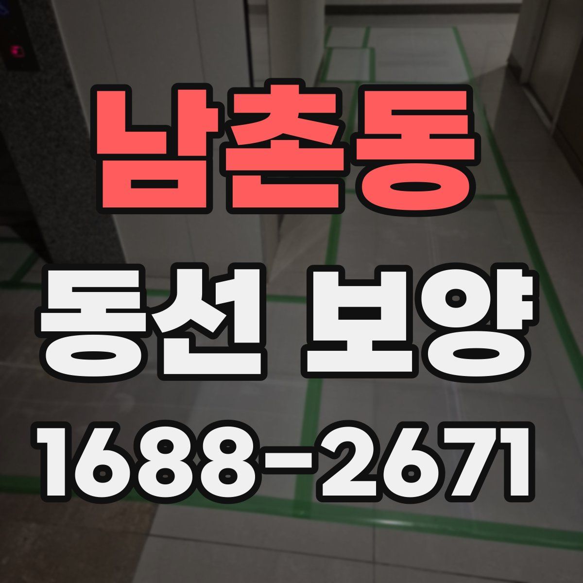 남촌동 동선 보양