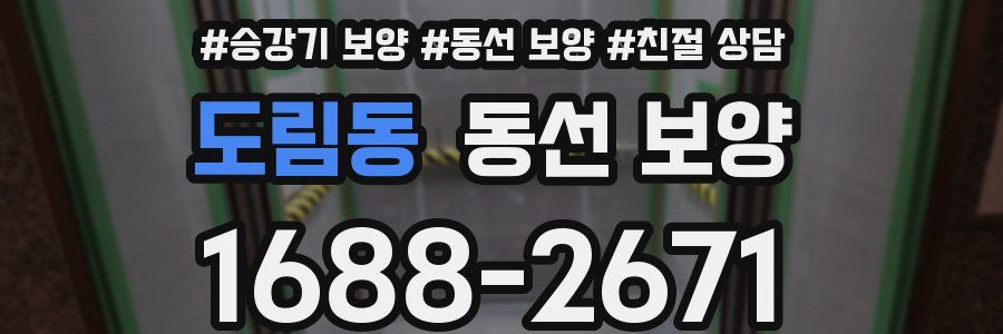 도림동 동선 보양
