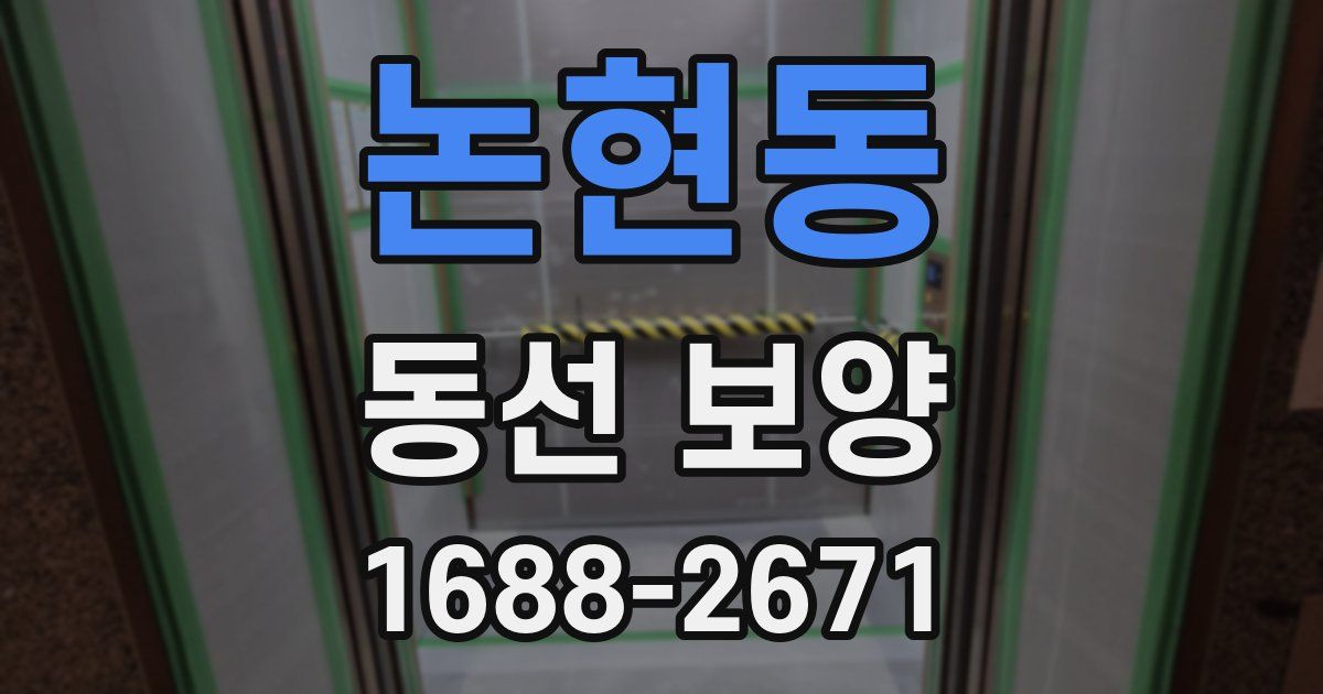 논현동 동선 보양