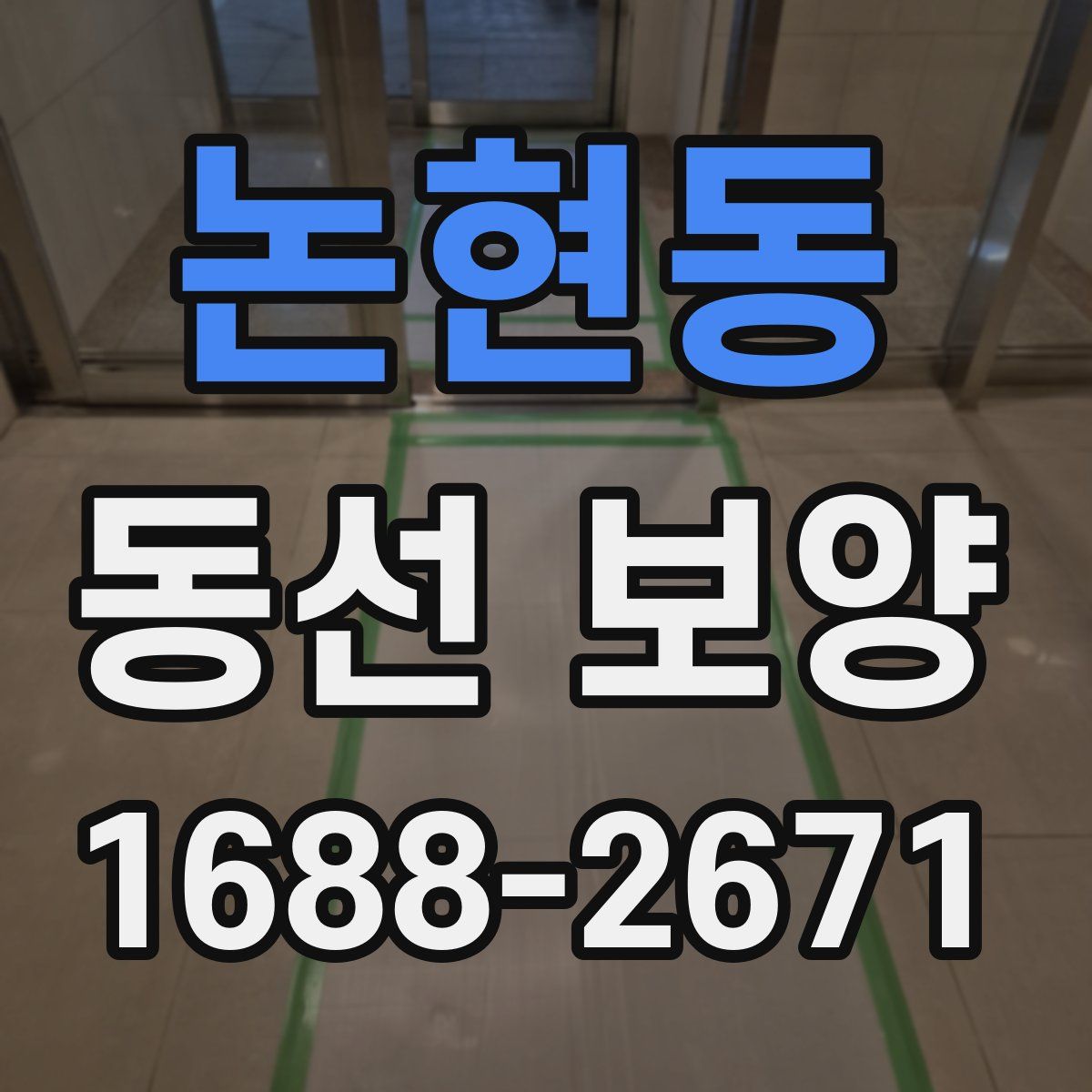 논현동 동선 보양