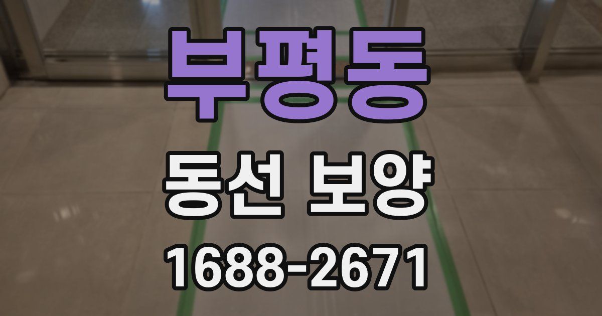 부평동 동선 보양