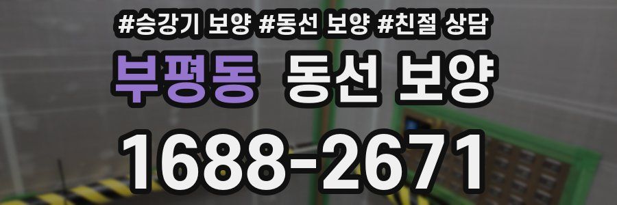 부평동 동선 보양
