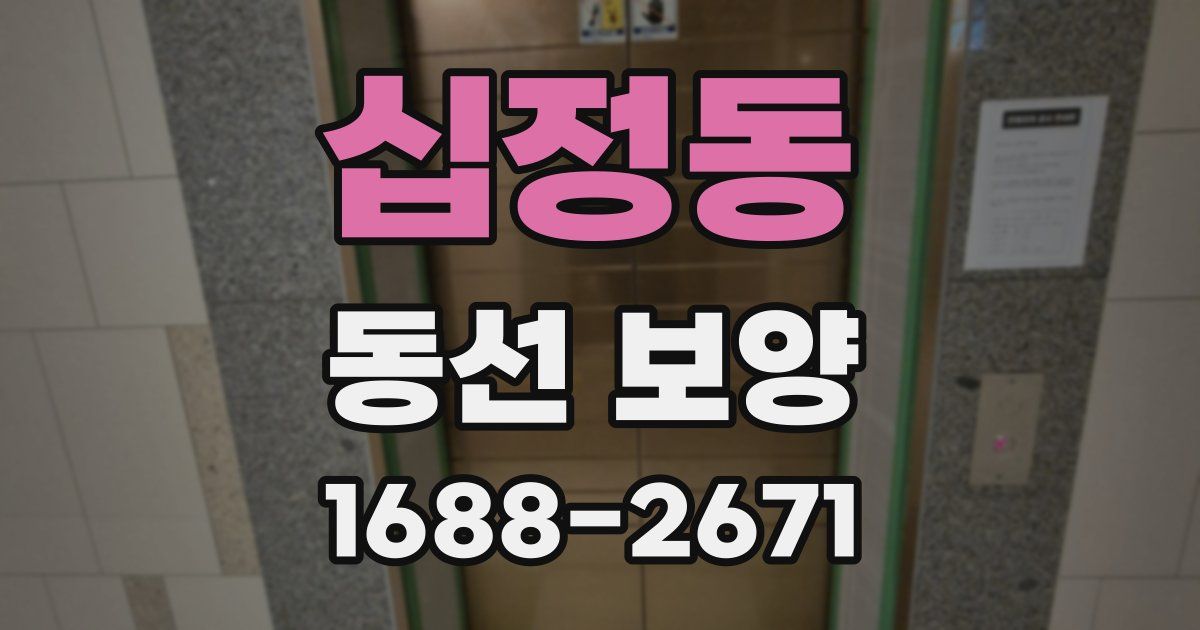 십정동 동선 보양