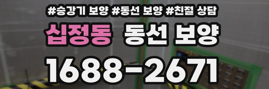 십정동 동선 보양